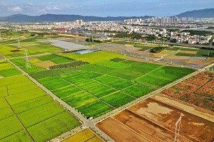 Hainan to develop 17 tropical agricultural industrial chains