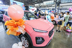 Hainan strengthens promotion of new energy vehicles