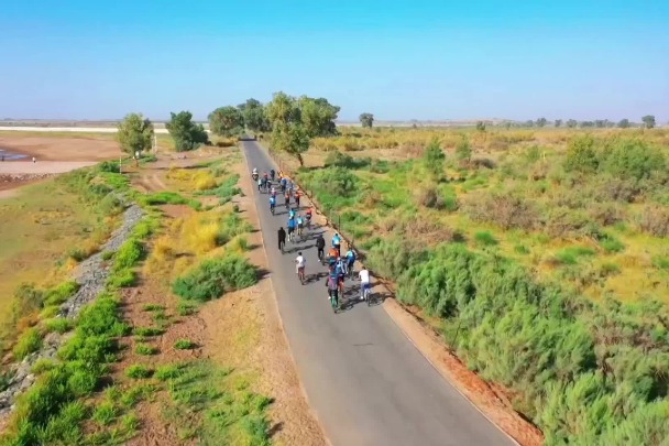 Cyclists admire beauty of populus euphratica forest in Ejine Banner