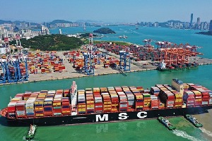 Xiamen aims to be bridgehead for BRICS cooperation