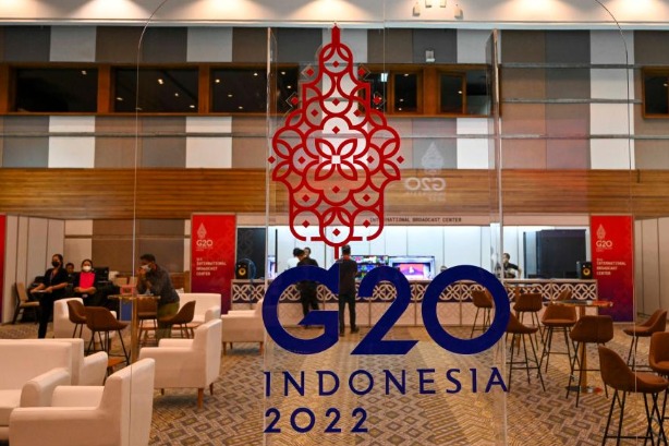 G20 vows for action fuel recovery hopes