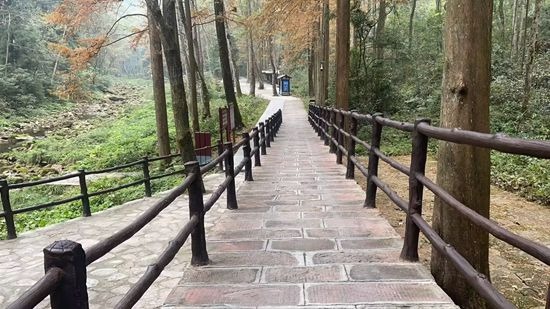 Barrier-free path put into use in Jinbian Stream Scenic Area