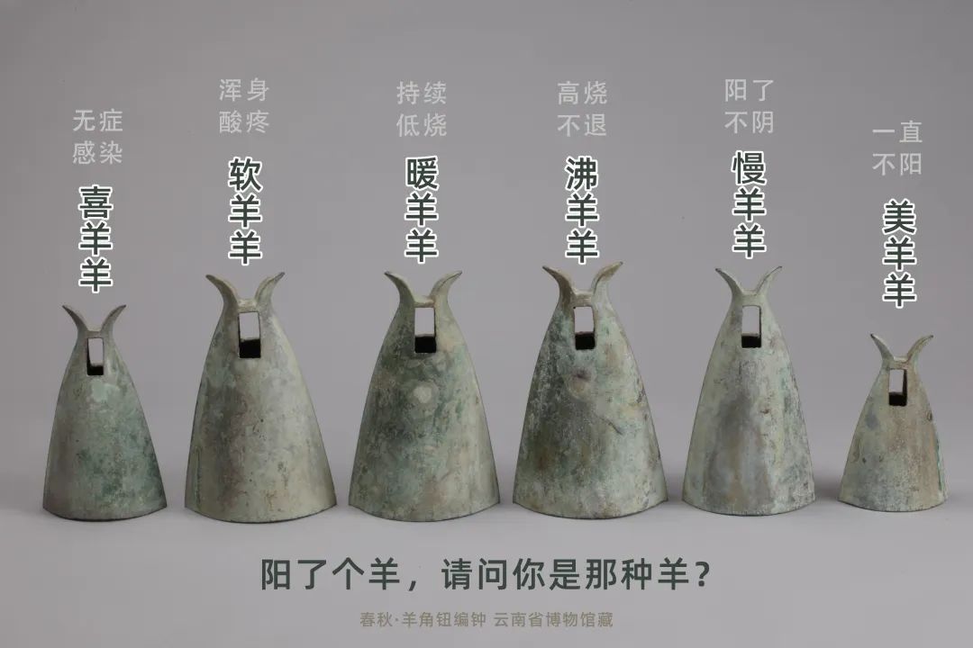 Yunnan Provincial Museum’s collections give courage to fight virus