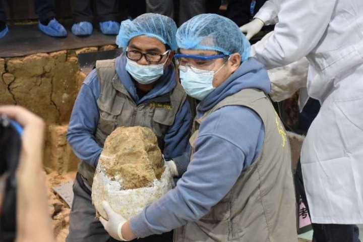 Fossil skull may hold clues to human ancestry