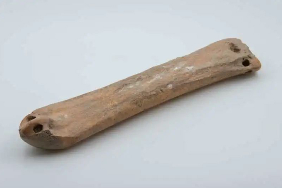 Primitive bone skates found in Xinjiang