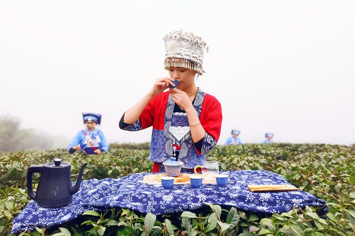 Duyun Maojian Spring Tea Harvest Festival celebrated in Guizhou