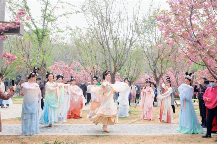 Cherry blossom festival kicks off in C China