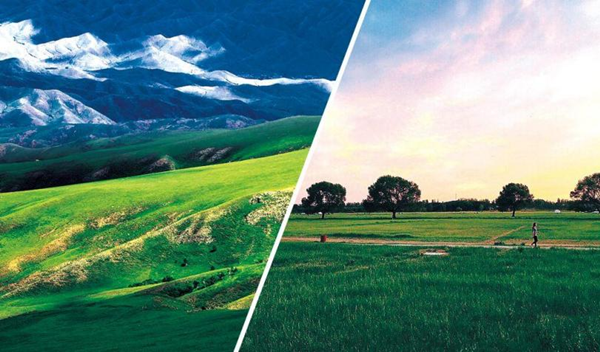 1682589853899021883.png 图片1.png