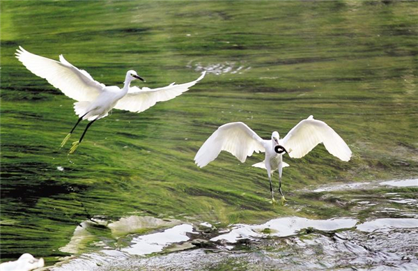 1683626250326023815.jpg 图片27.jpg