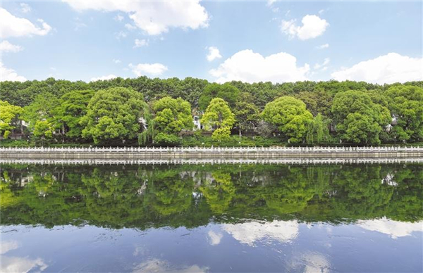 1683626299497062819.jpg 图片28.jpg