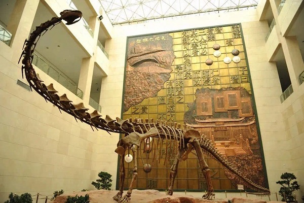 Pay a visit to Quzhou Museum on Intl Museum Day