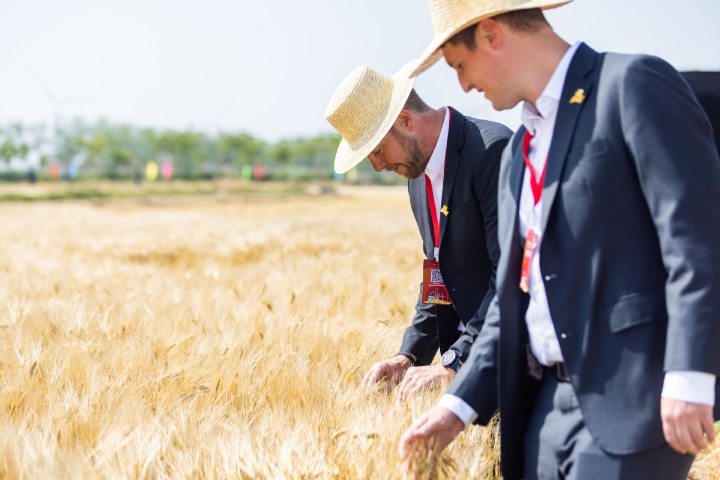 Budweiser looks to support Sheyang farmers