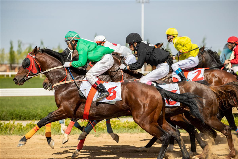 In Hohhot, the horse racing season opens