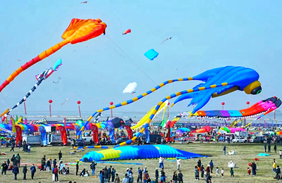 Expats explore kite culture, vegetable sci-tech in Weifang