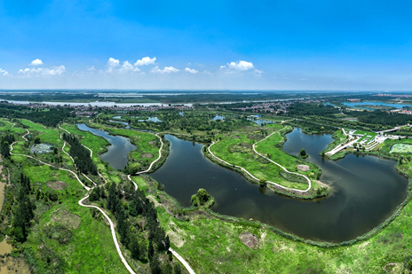 Shandong focuses on wetland protection