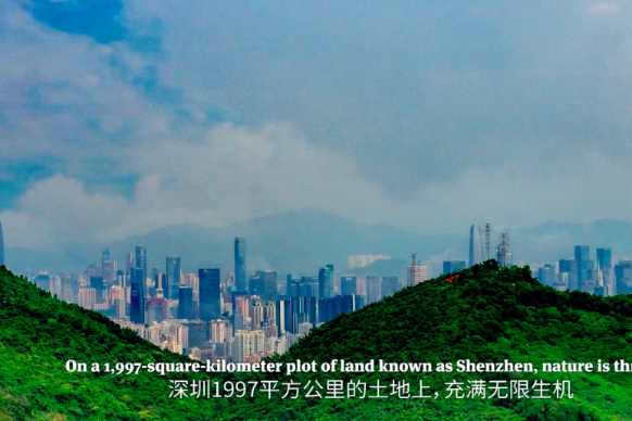Photographer captures beauty of Shenzhen