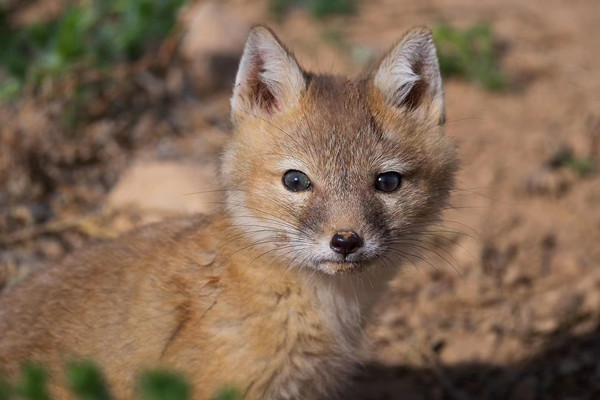 1684311241847012218.jpg 微信图片_20230517114624.jpg