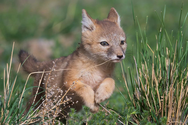 1684311255598070538.jpg 微信图片_20230517114637.jpg