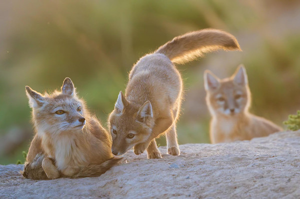 1684311281664087521.jpg 微信图片_20230517114641.jpg