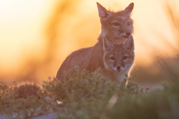 1684311295693022993.jpg 微信图片_20230517114656.jpg