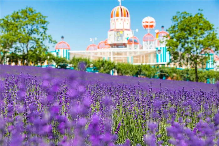 1683598013942065258.jpg 08-pd-1_副本.jpg