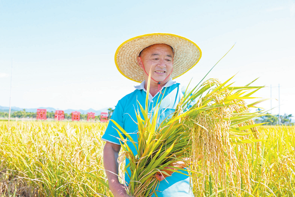 Sanya's agricultural indicators top Hainan in Q1
