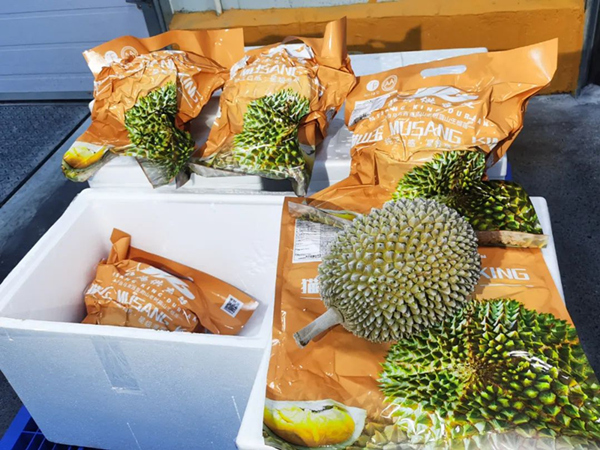 1688111581539059497.jpg I_副本.jpg