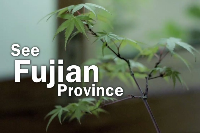 See China in 70 Seconds - Fujian