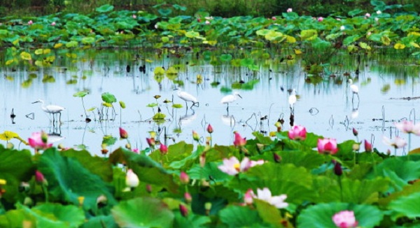 1654850573110041208.jpg 05_05_0056.jpg