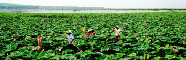 1654850588233023849.jpg 05_05_0041.jpg