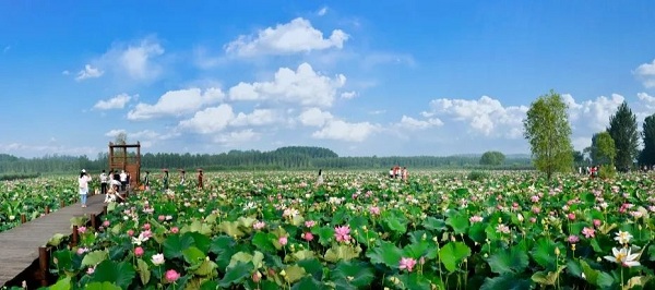 1658308432779039711.jpg 640 (1).jpg