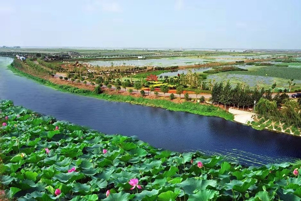 1607680198259041311.jpg 12345.jpg