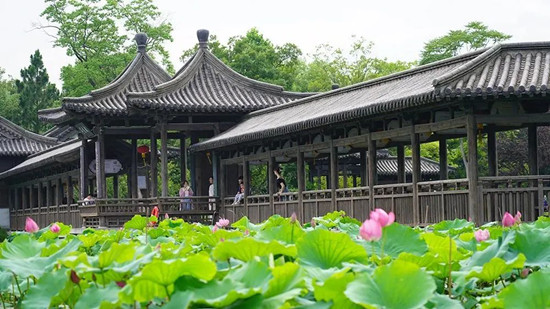 In Pictures: Lotus flowers bloom in Slender West Lake scenic area