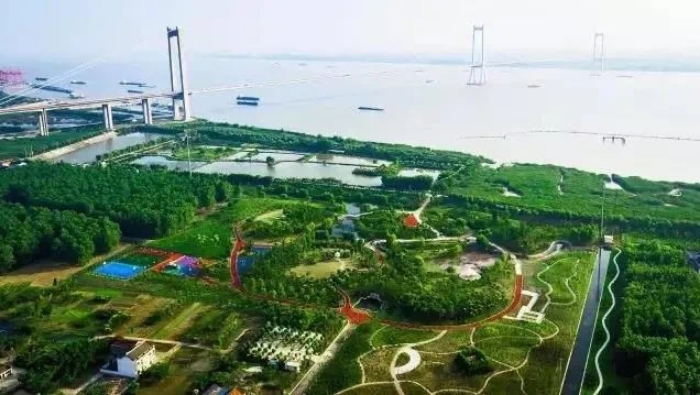 1685005968191064889.jpeg 8.jpeg