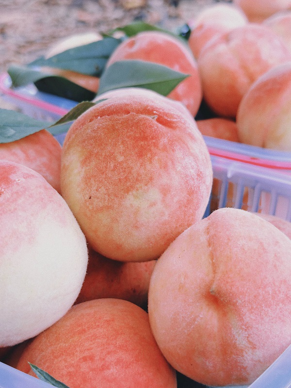 1689151905499069280.jpeg 1689051298203_64ace0a2233d095ddd853d8a.jpeg