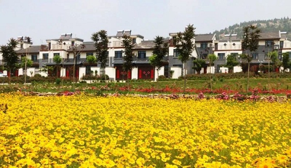 1631000572507091548.jpeg luyuan.jpeg