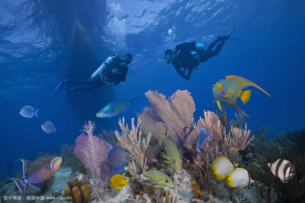 1516789458535046120.jpg 岸礁潜水_副本.jpg