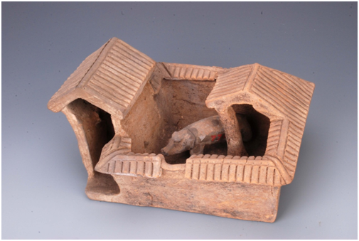 1614067833970026704.jpg 出土3.jpg