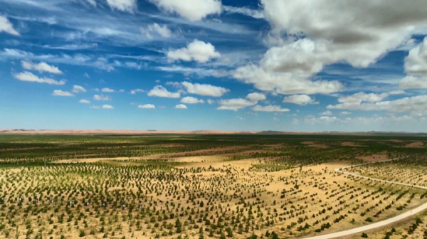 1690797876589078626.png 64c38c68a310352610b9c67c.png