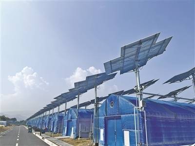 Quzhou company combines solar power generation, mushroom cultivation