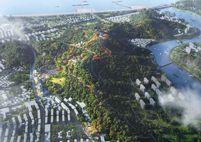 A forest sports park to open in Zhoushan