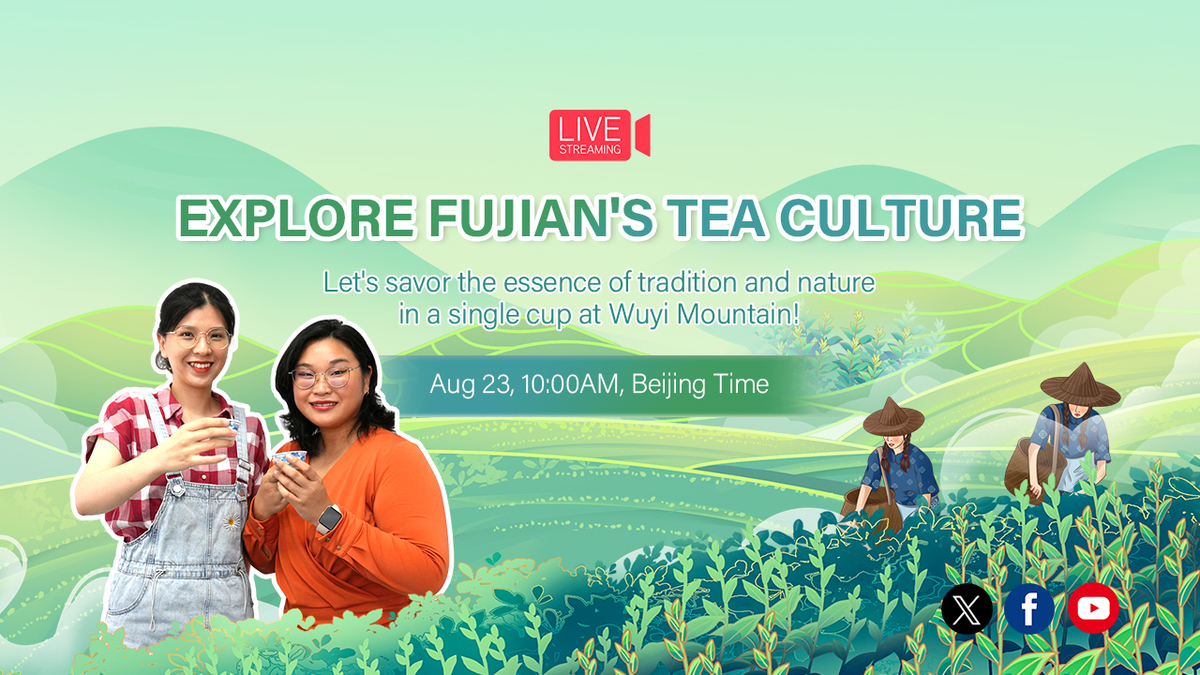 Coming up: Explore Fujian's tea culture