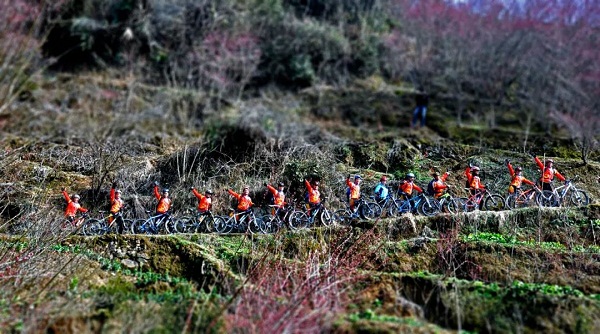 1670407538069026091.jpg huangshan2.jpg