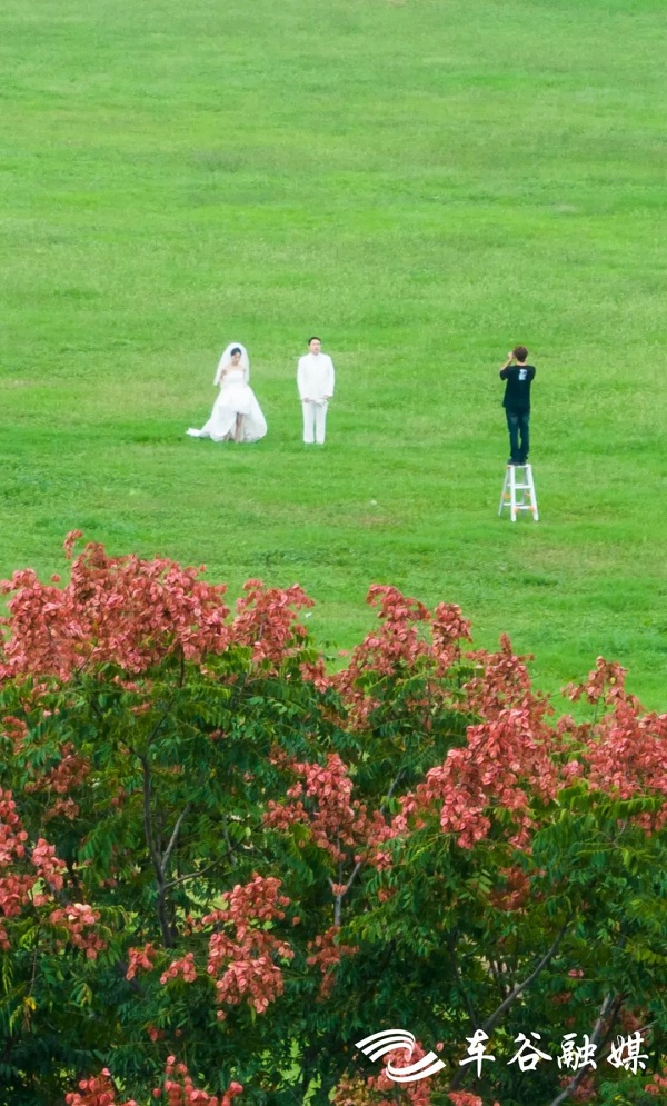 1696667449670095445.jpg 车谷3.jpg