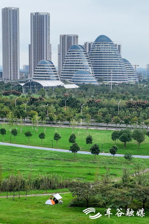 1696667520961008063.jpg 车谷2.jpg