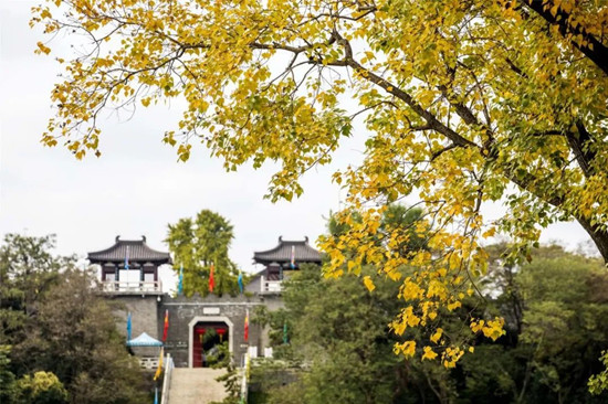 In pics: autumn scenery at Slender West Lake scenic area