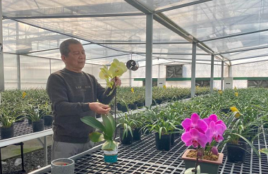 Taiwanese businessman develops Donglan's orchid industry 
