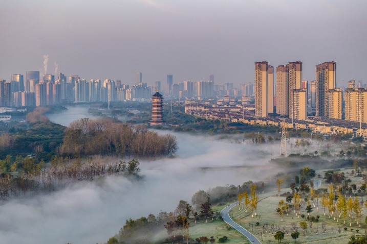 National wetland park shrouded in mists in Jiangsu