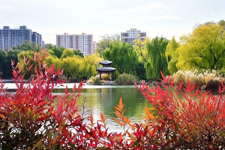 Zizhuyuan Park showcases picturesque scenery in early winter