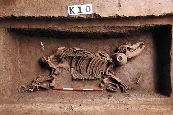 Archaeology magazine names a Han Dynasty tomb a top discovery of 2023
